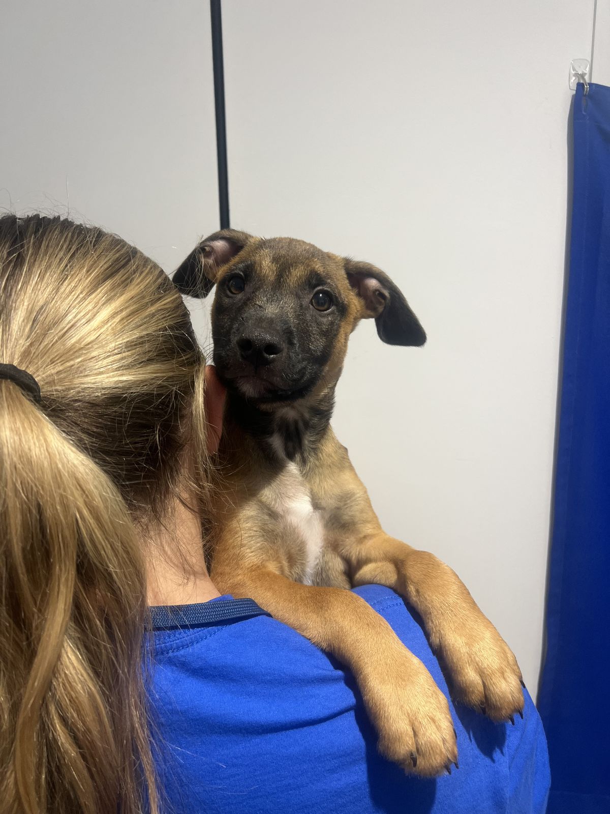 Gallery image: Tennessee 