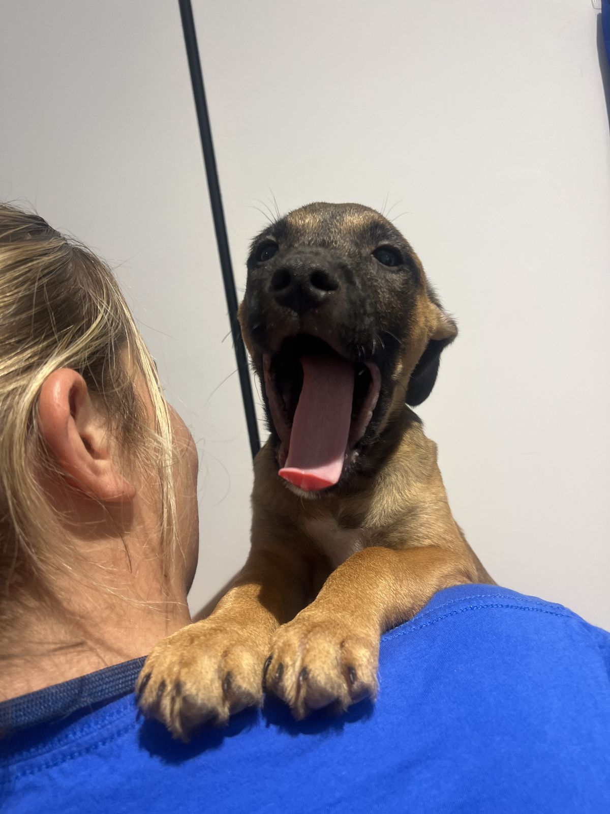 Gallery image: Tennessee 