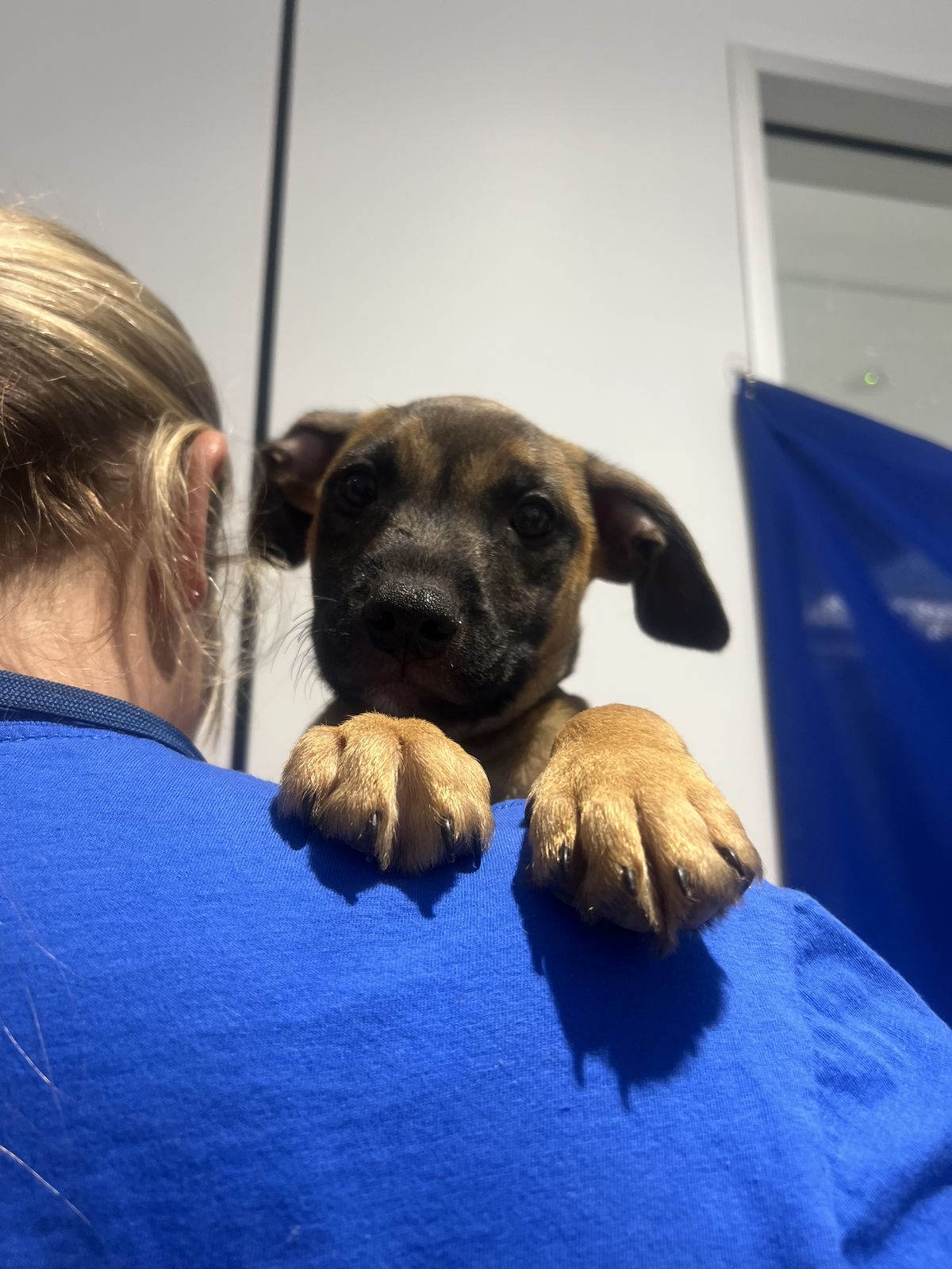 Gallery image: Tennessee 