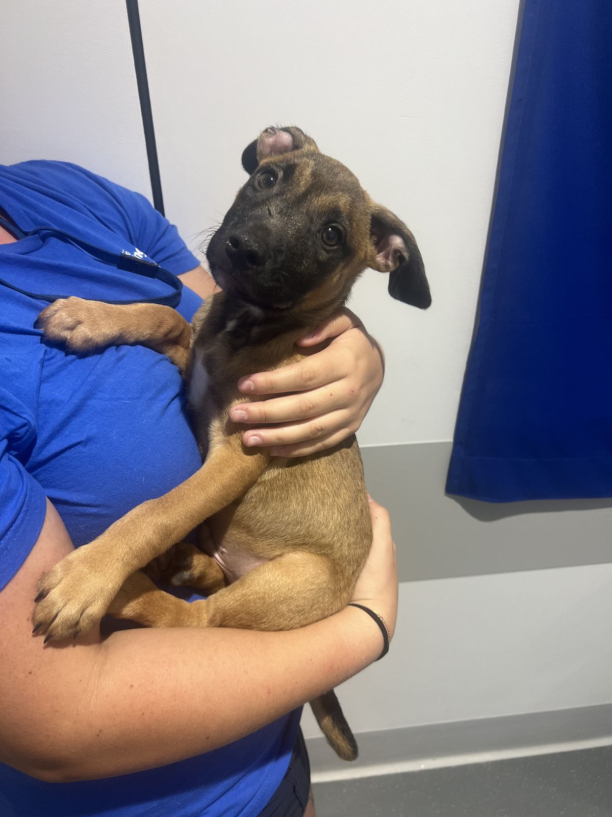 Gallery image: Tennessee 