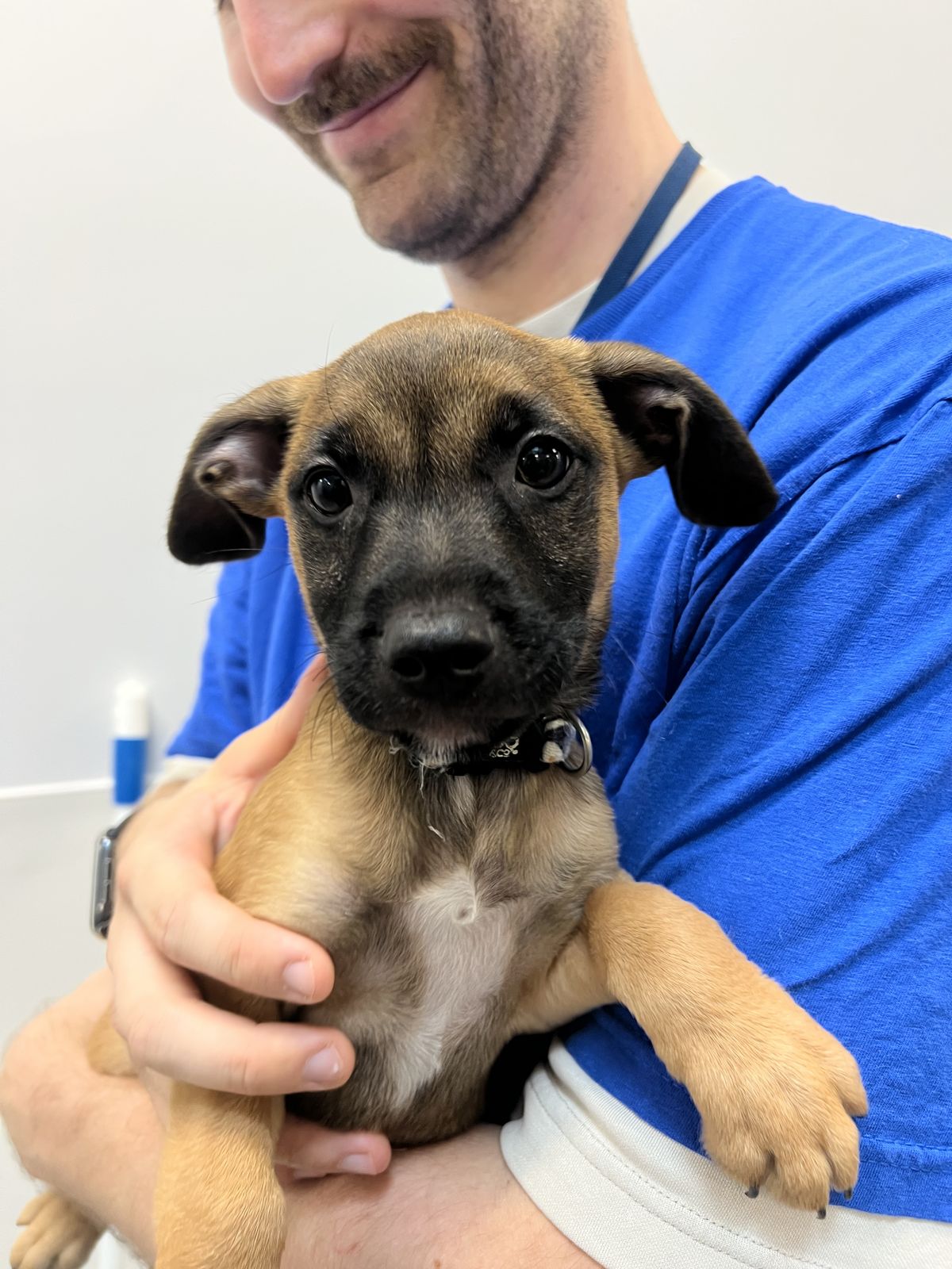 Gallery image: Tennessee 