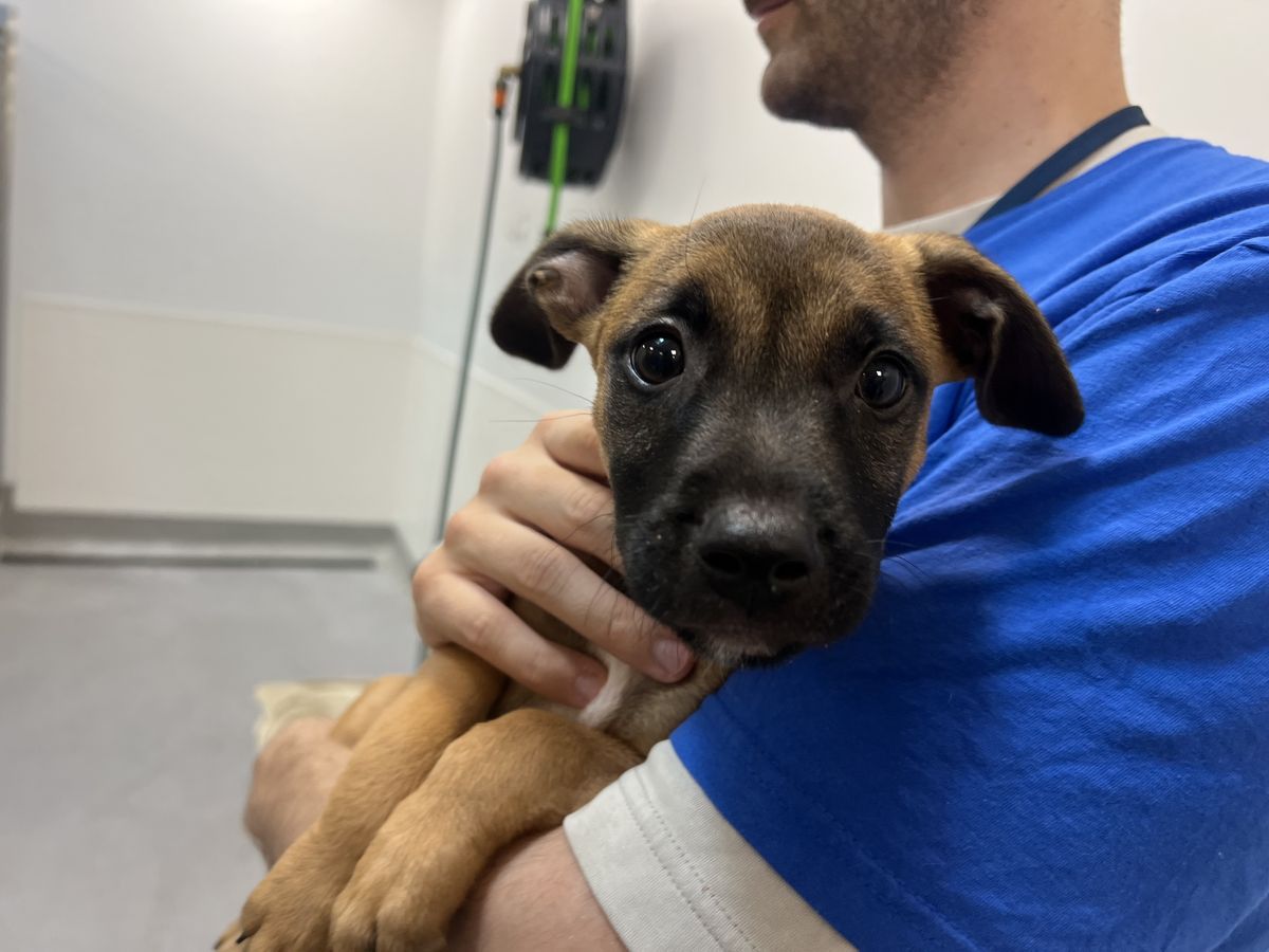 Gallery image: Tennessee 