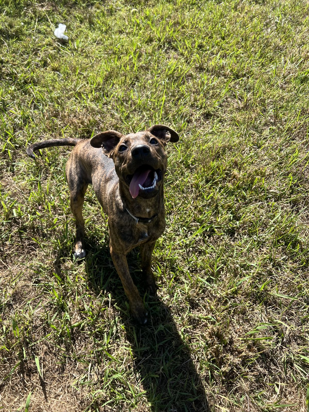 Gallery image: Charli