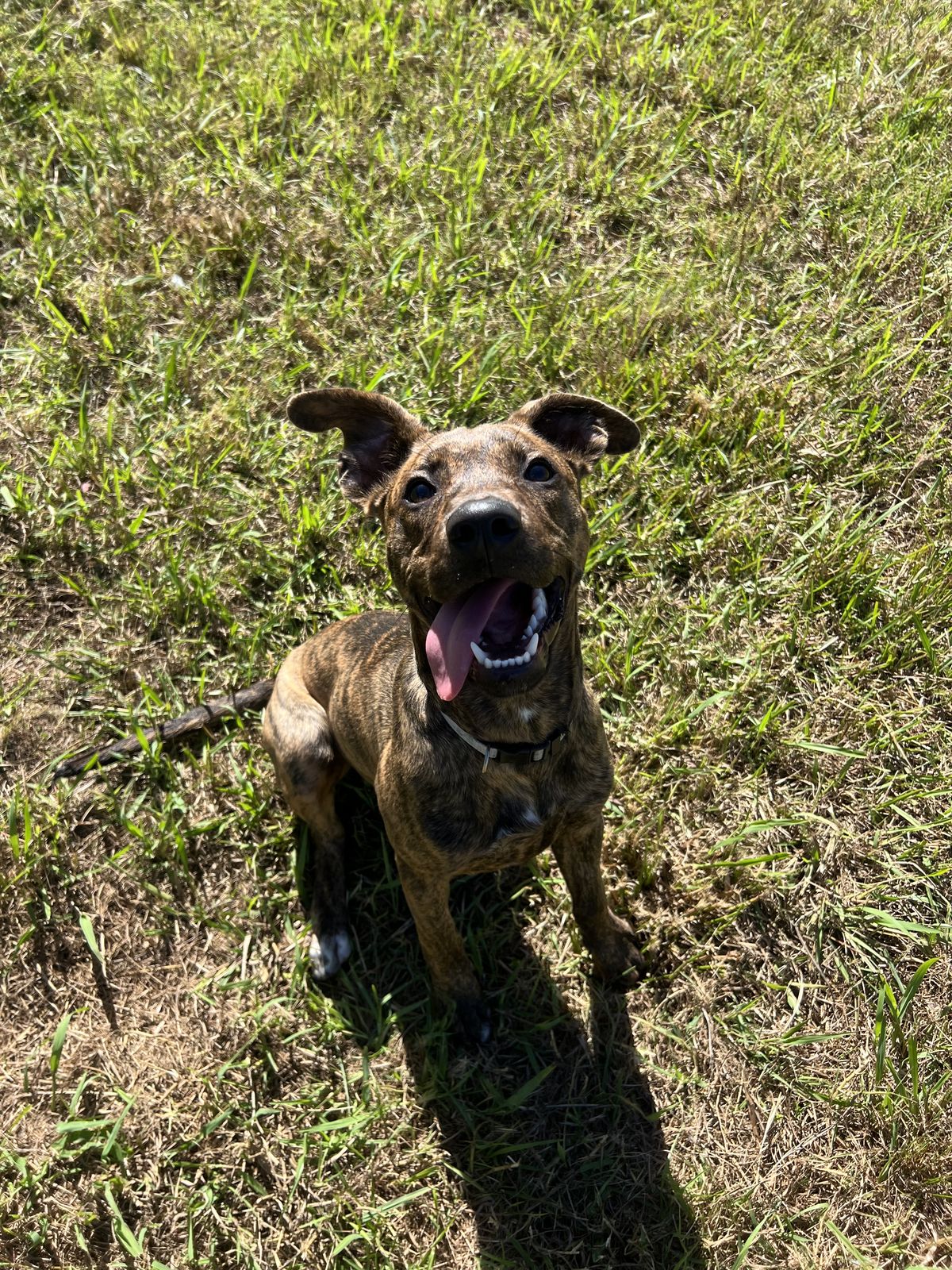 Gallery image: Charli