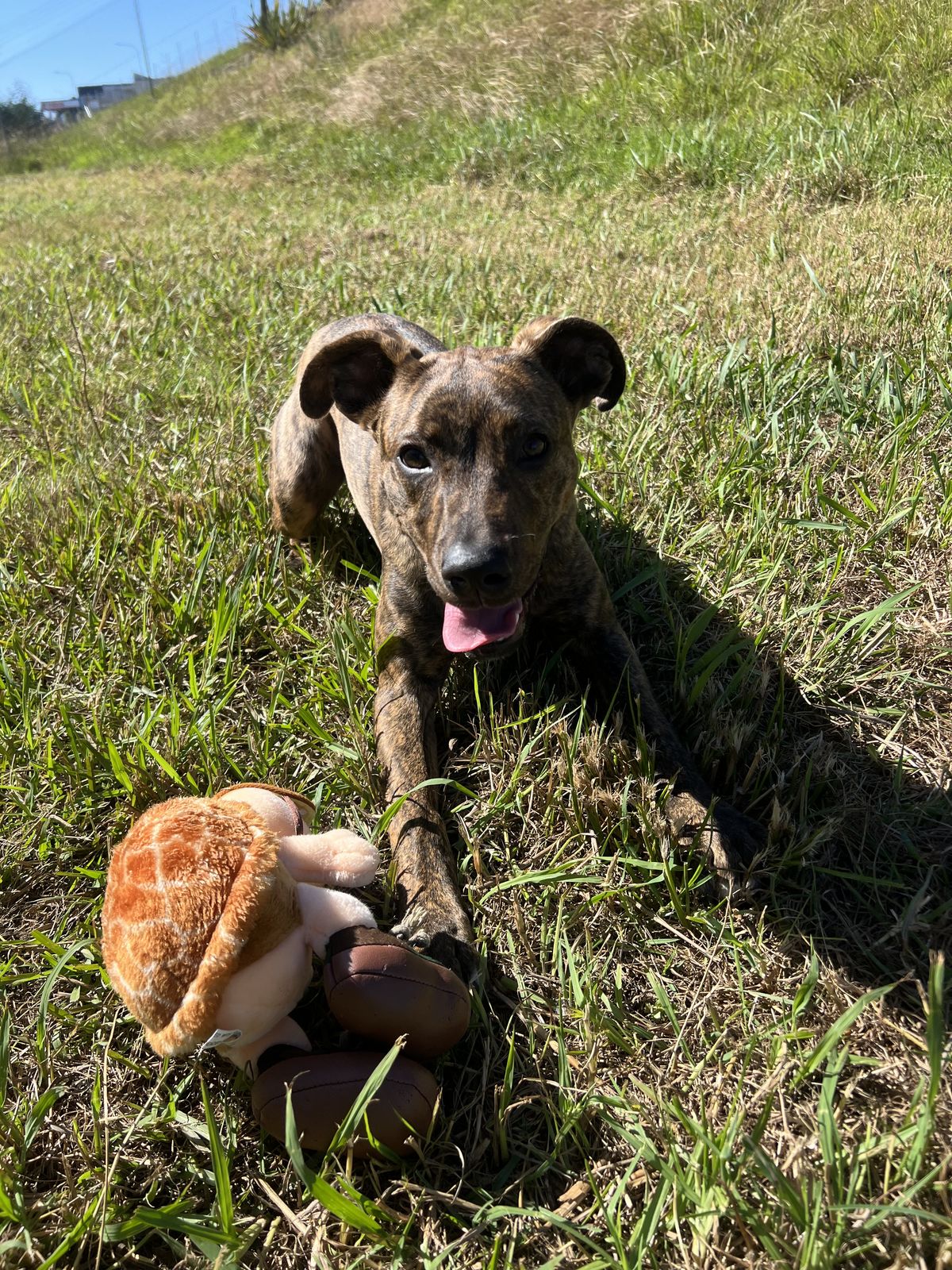 Gallery image: Charli