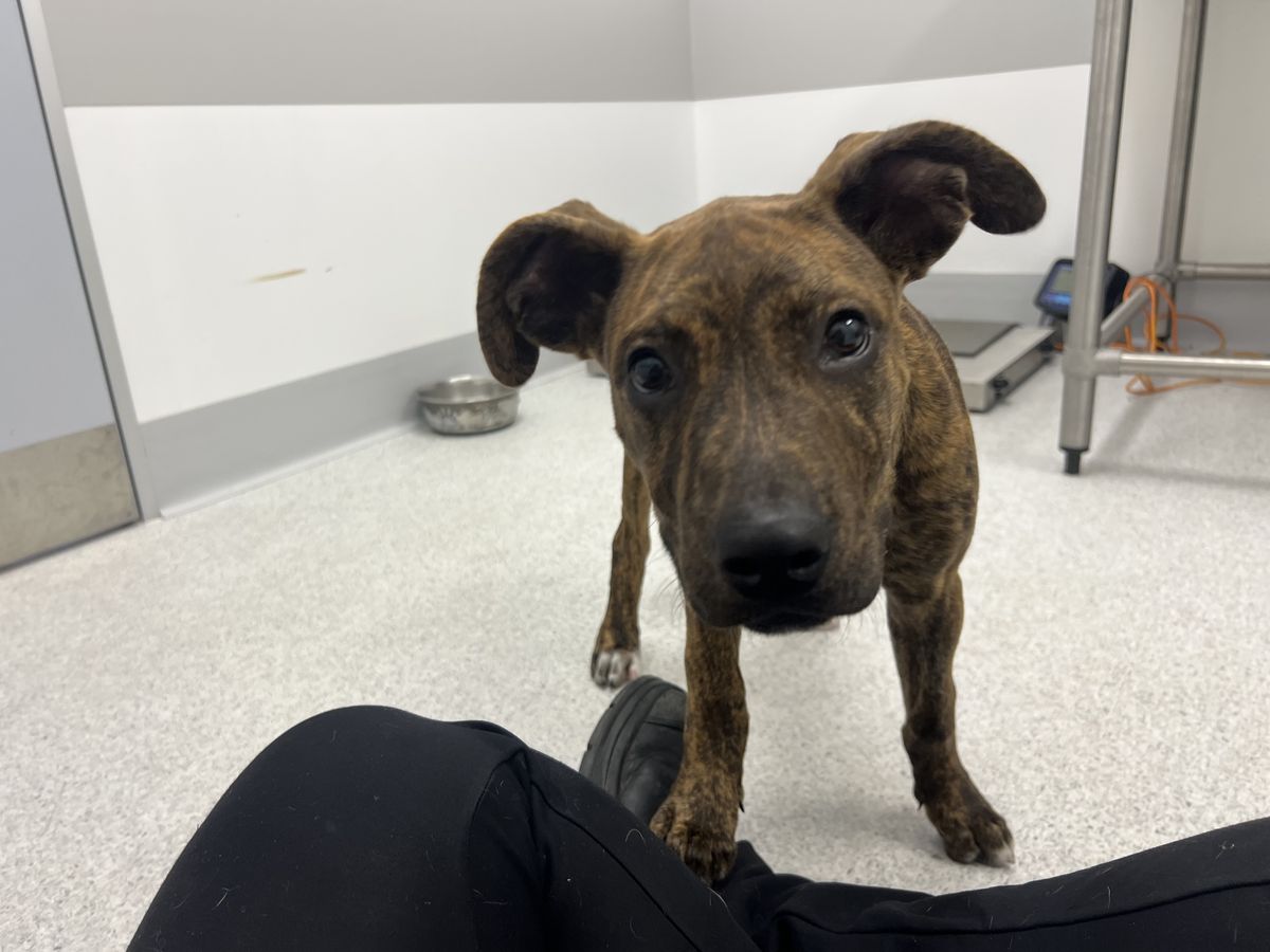 Gallery image: Charli