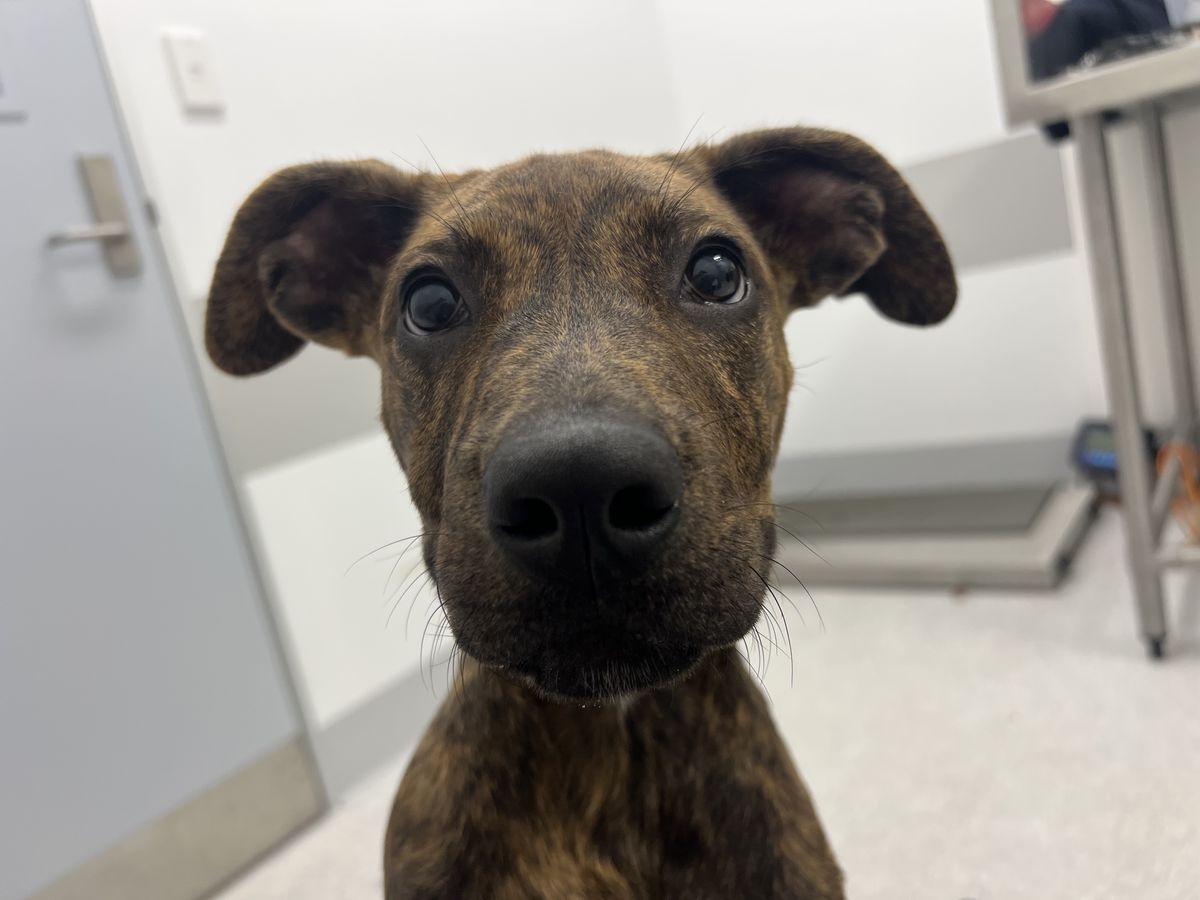 Gallery image: Charli