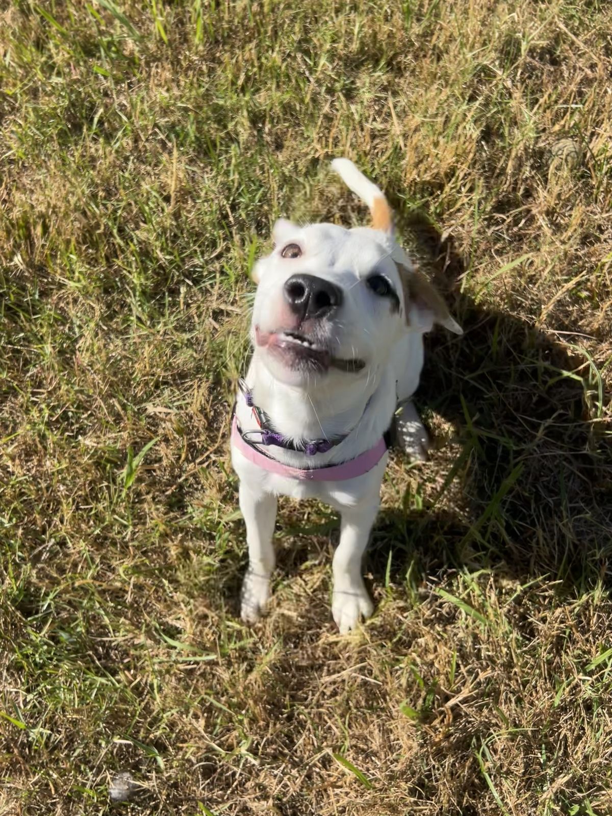 Gallery image: Mecca