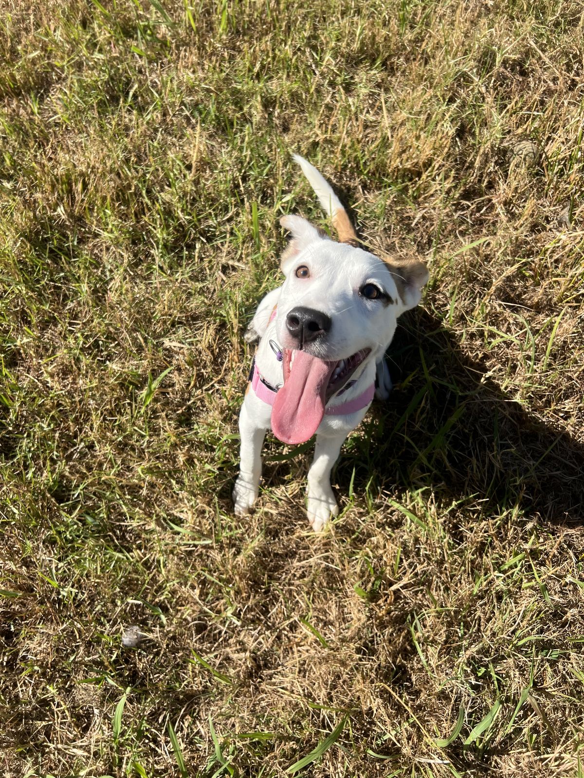 Gallery image: Mecca