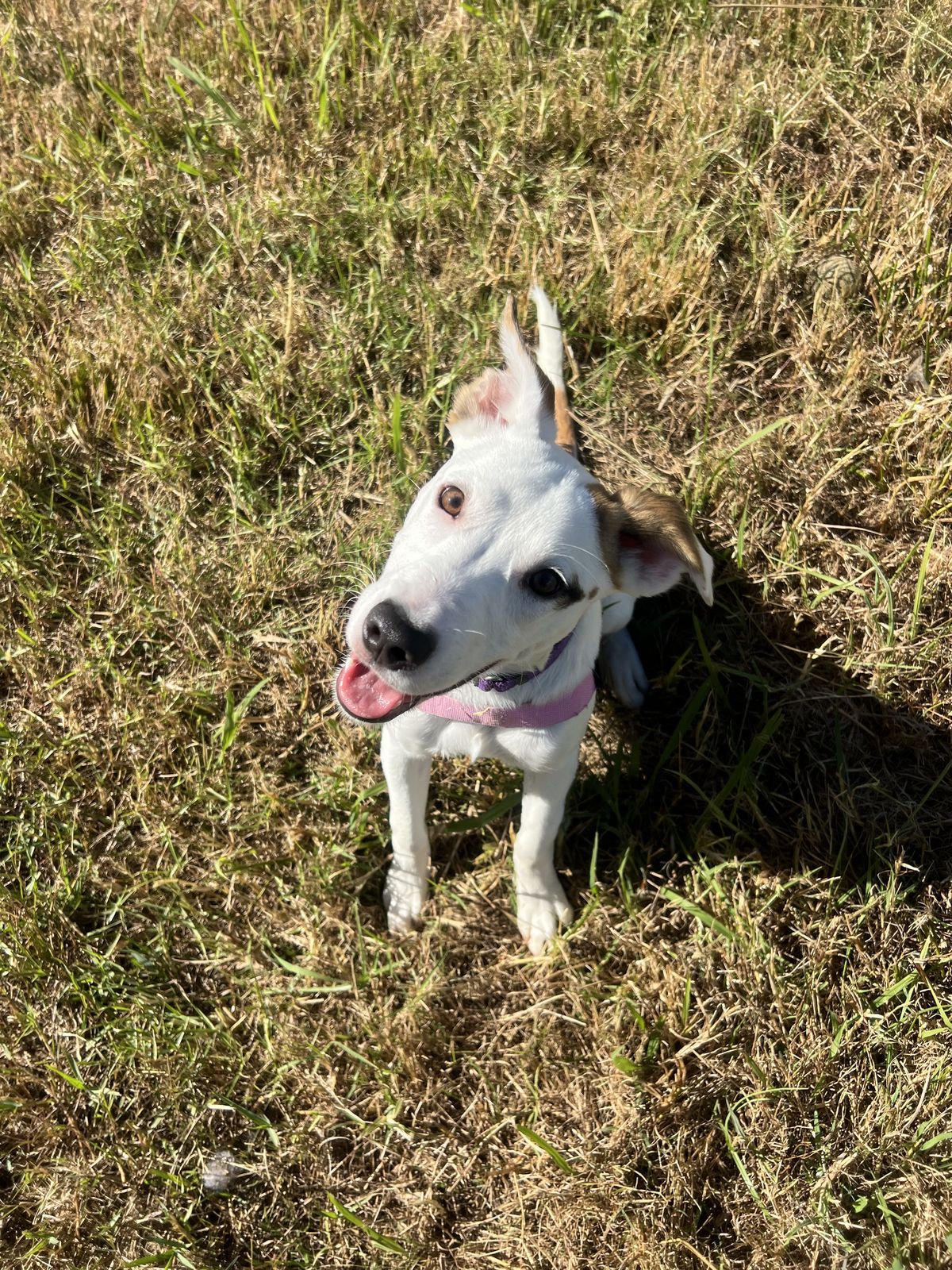 Gallery image: Mecca