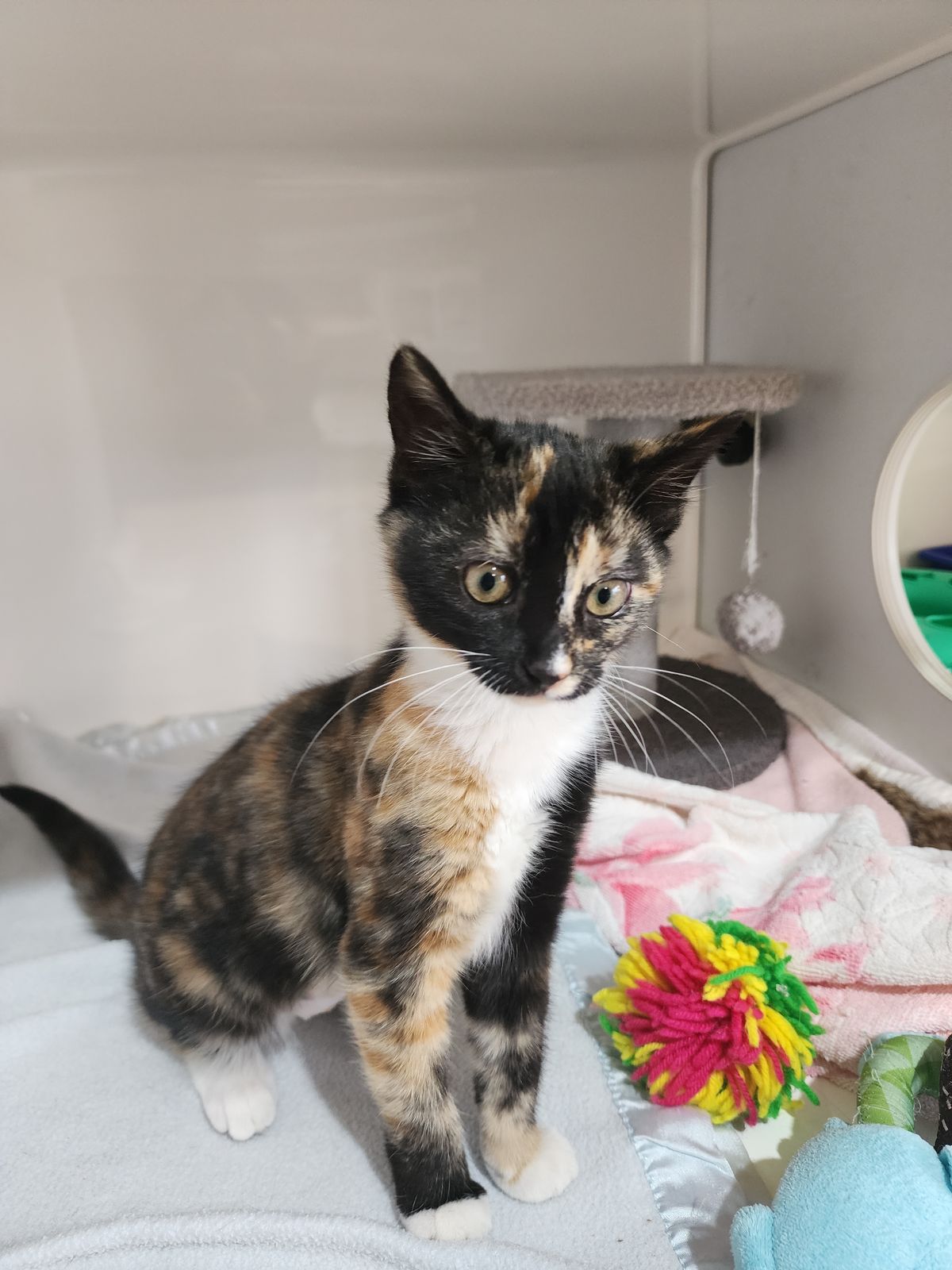 Gallery image: Thumbelina (lena) 