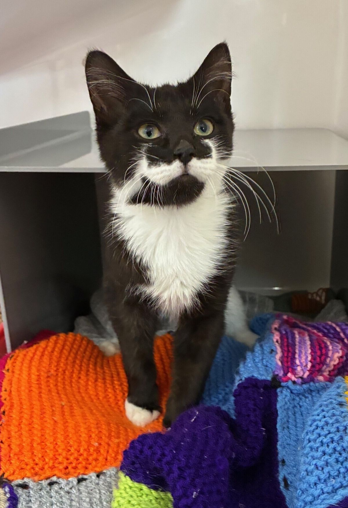 Gallery image: Bacon