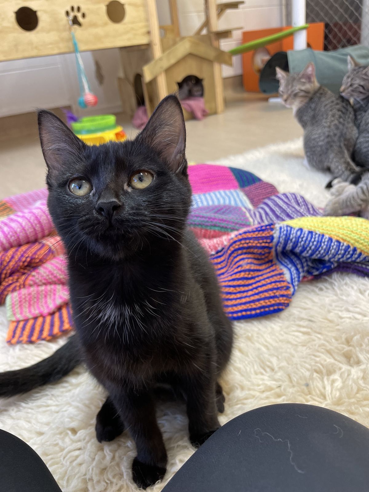 Gallery image: Pocket