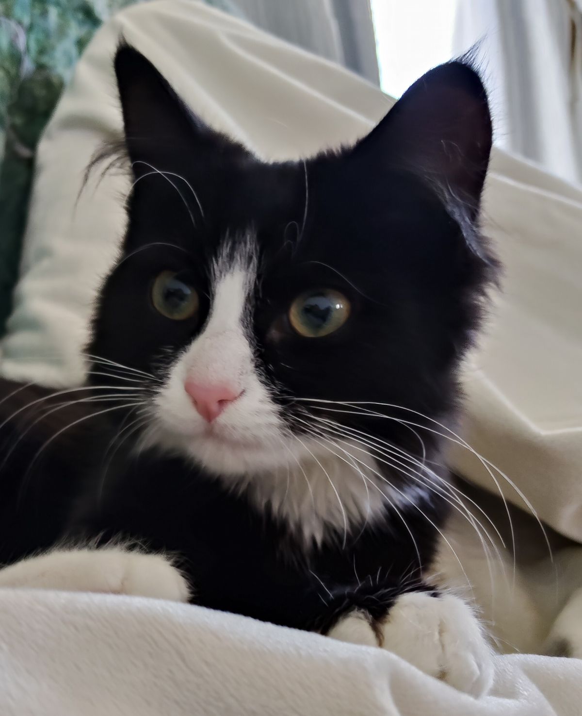 Gallery image: Paddy