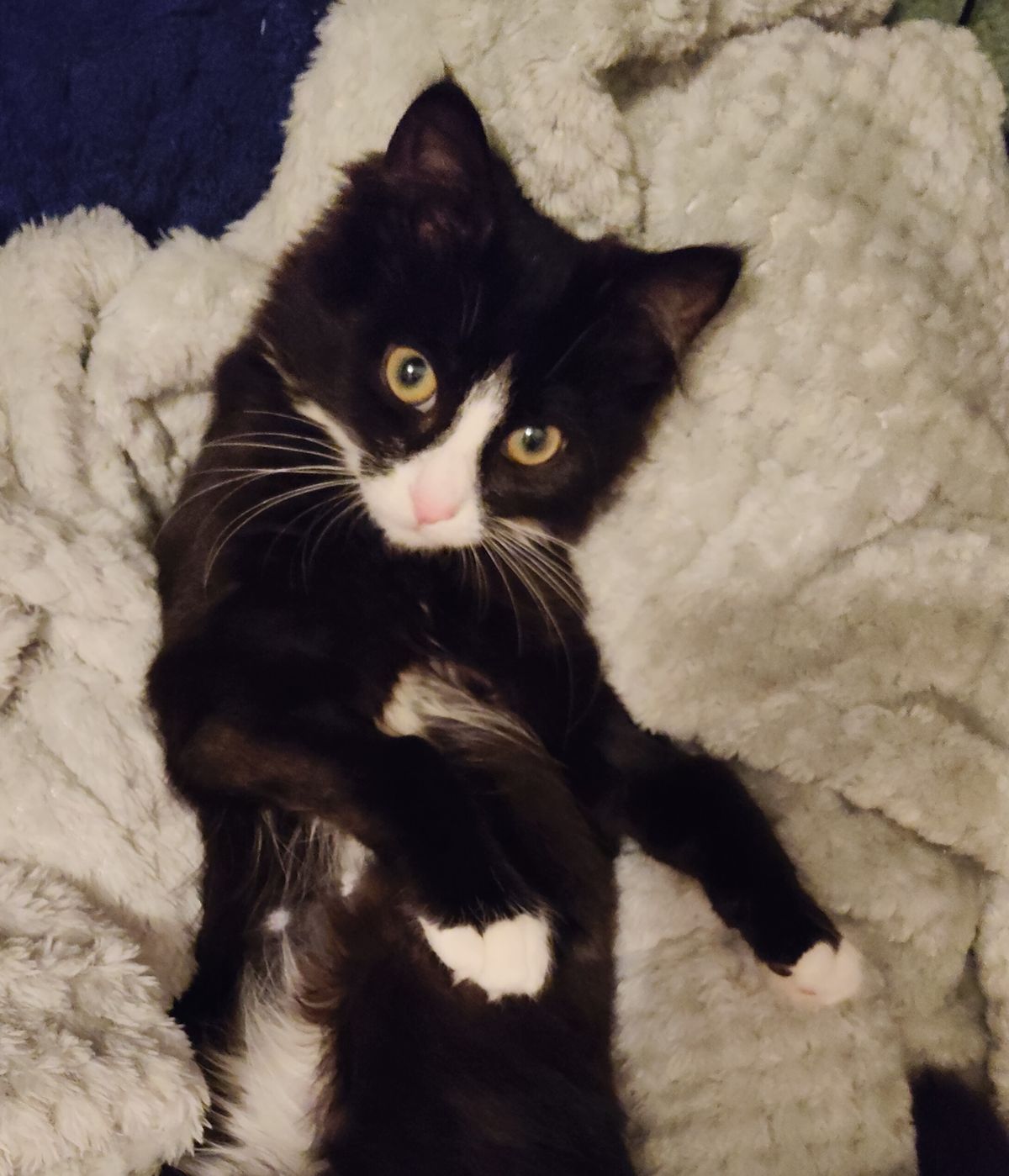 Gallery image: Paddy