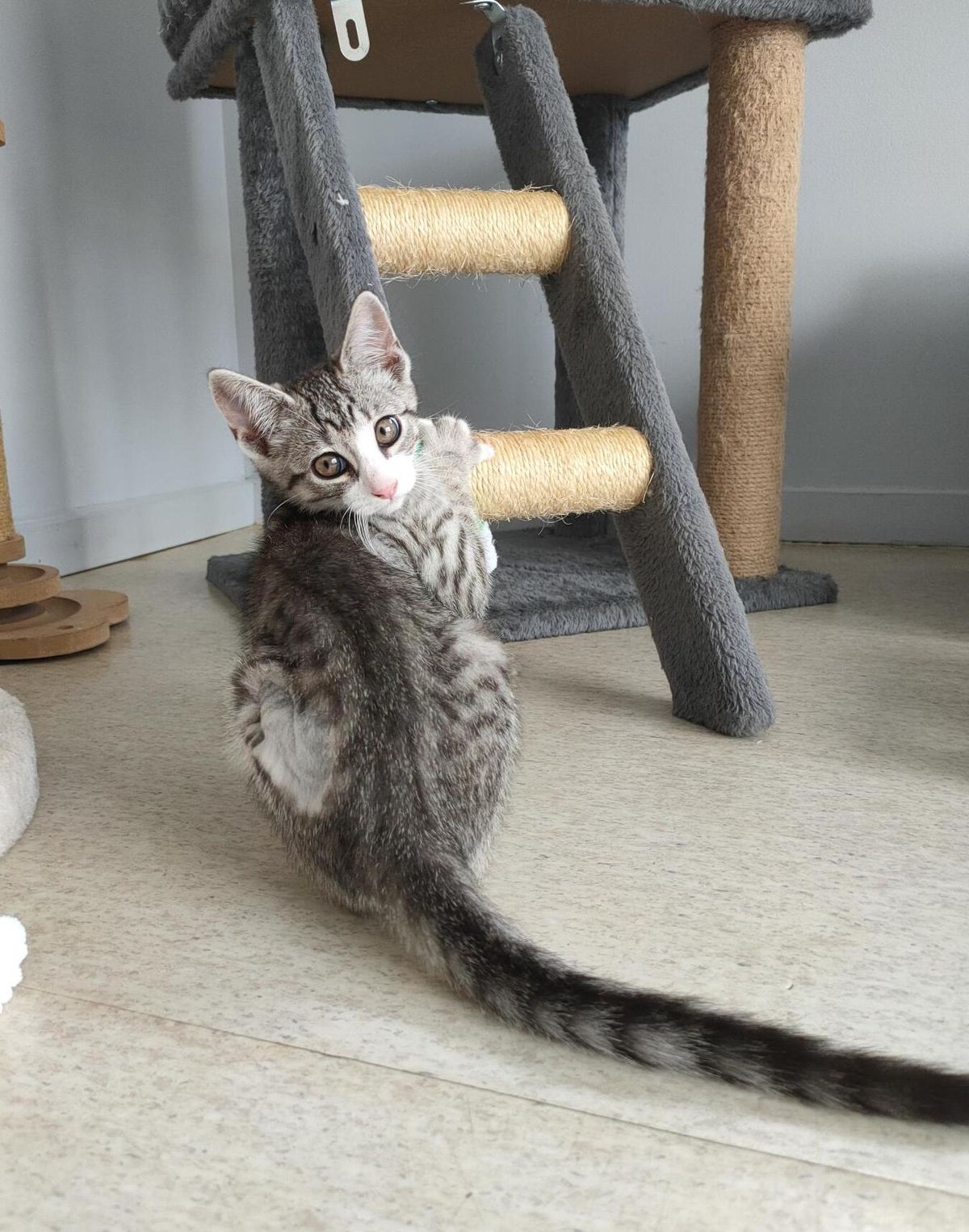 Gallery image: Socks