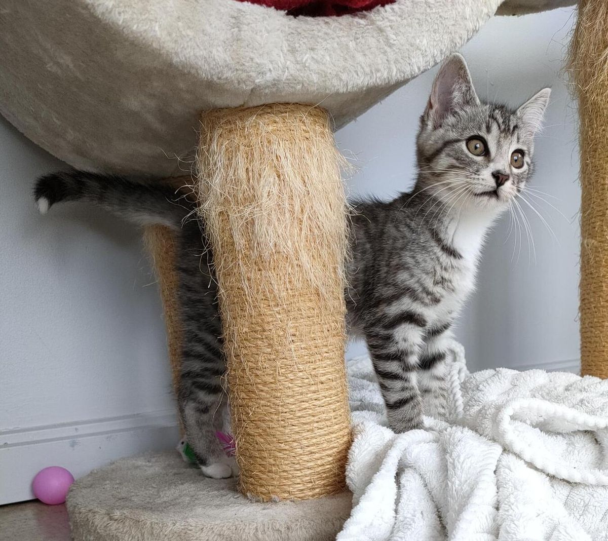 Gallery image: Charlie