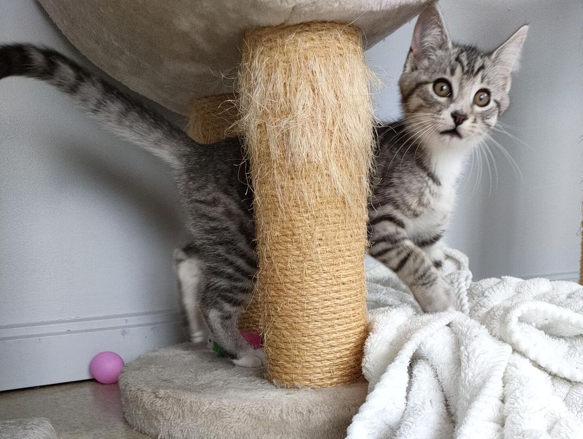 Gallery image: Charlie