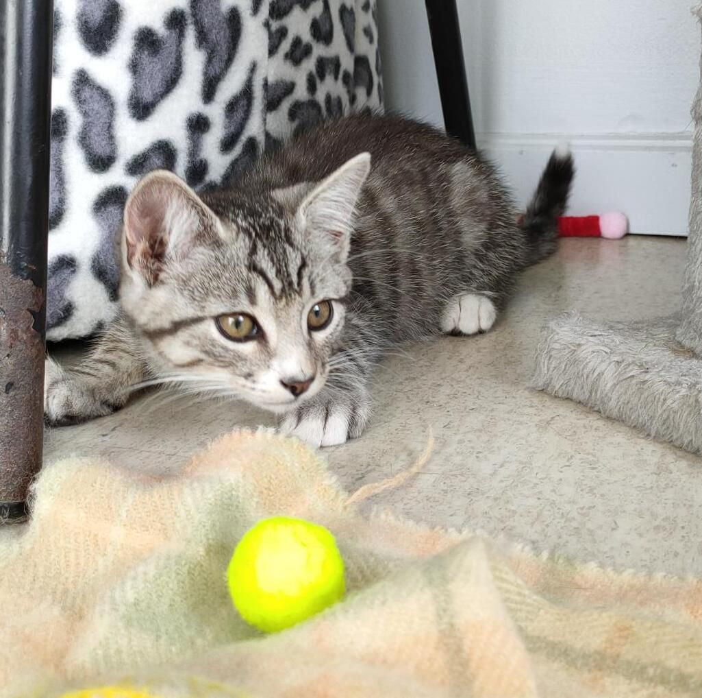 Gallery image: Charlie