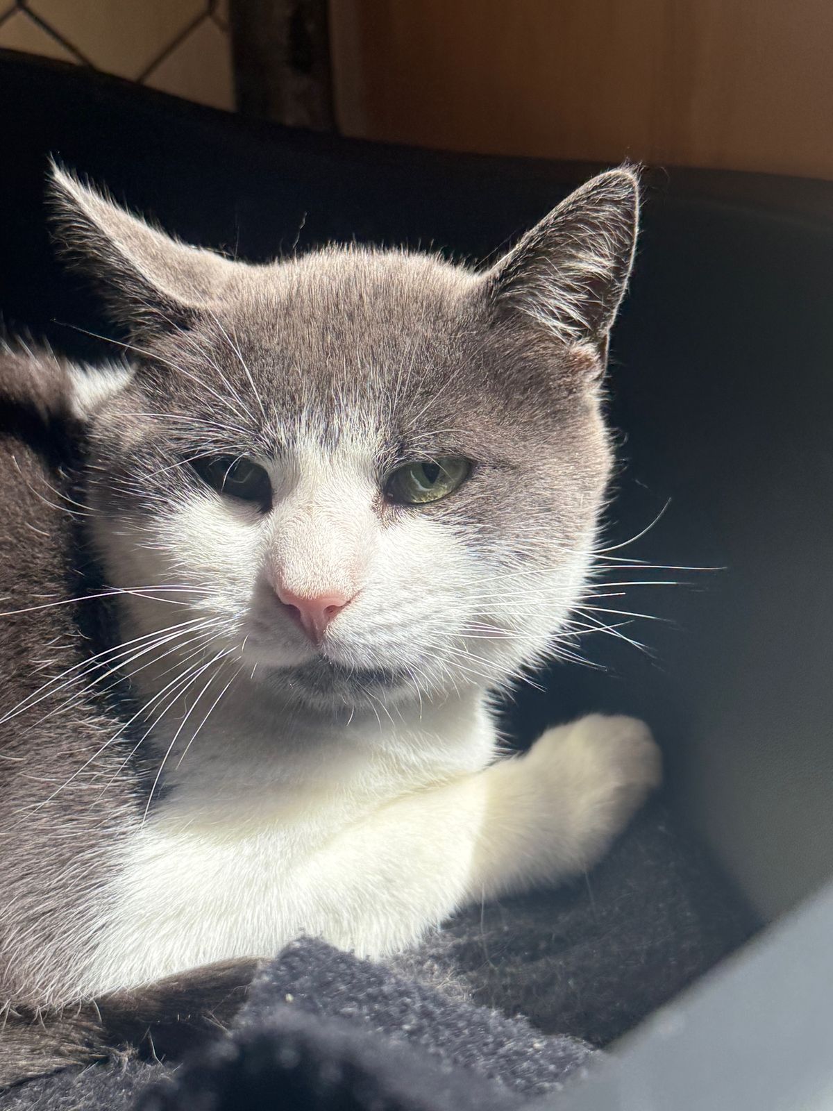 Gallery image: Socks