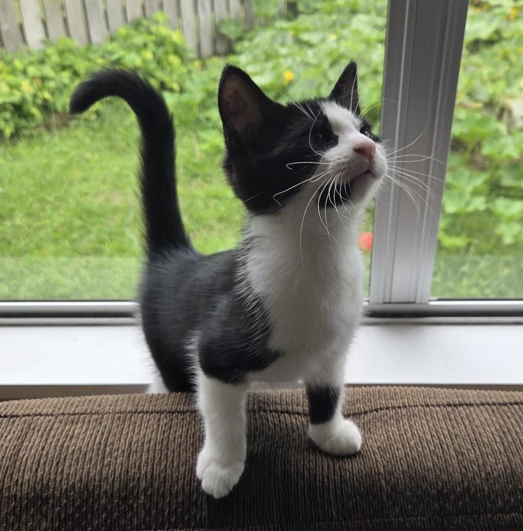 Gallery image: Lillith