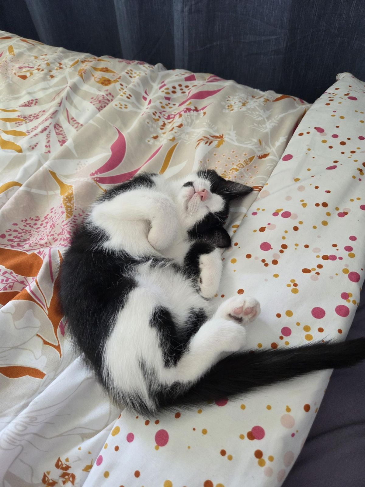 Gallery image: Lillith