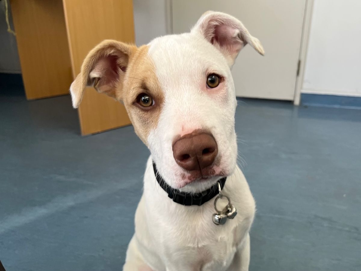 Gallery image: Radar