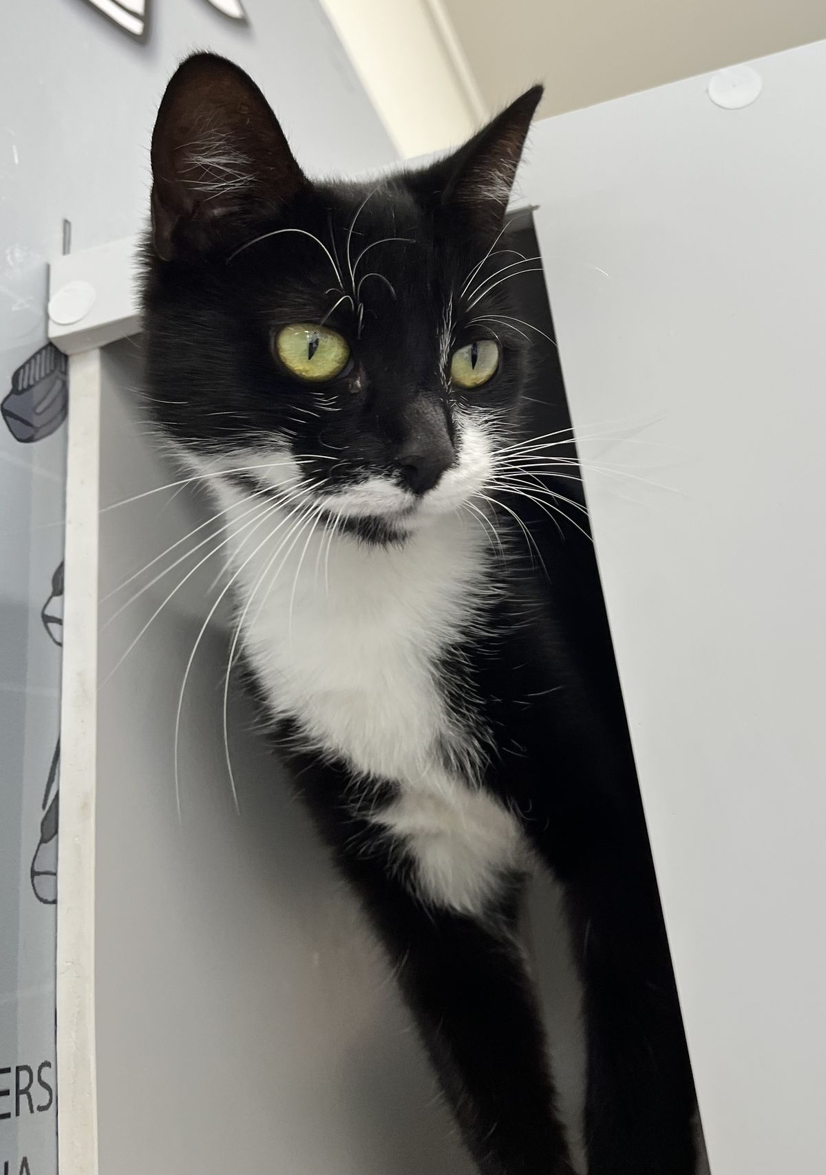 Gallery image: Mindy