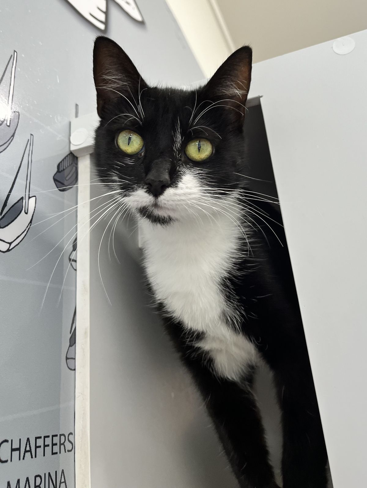 Gallery image: Mindy