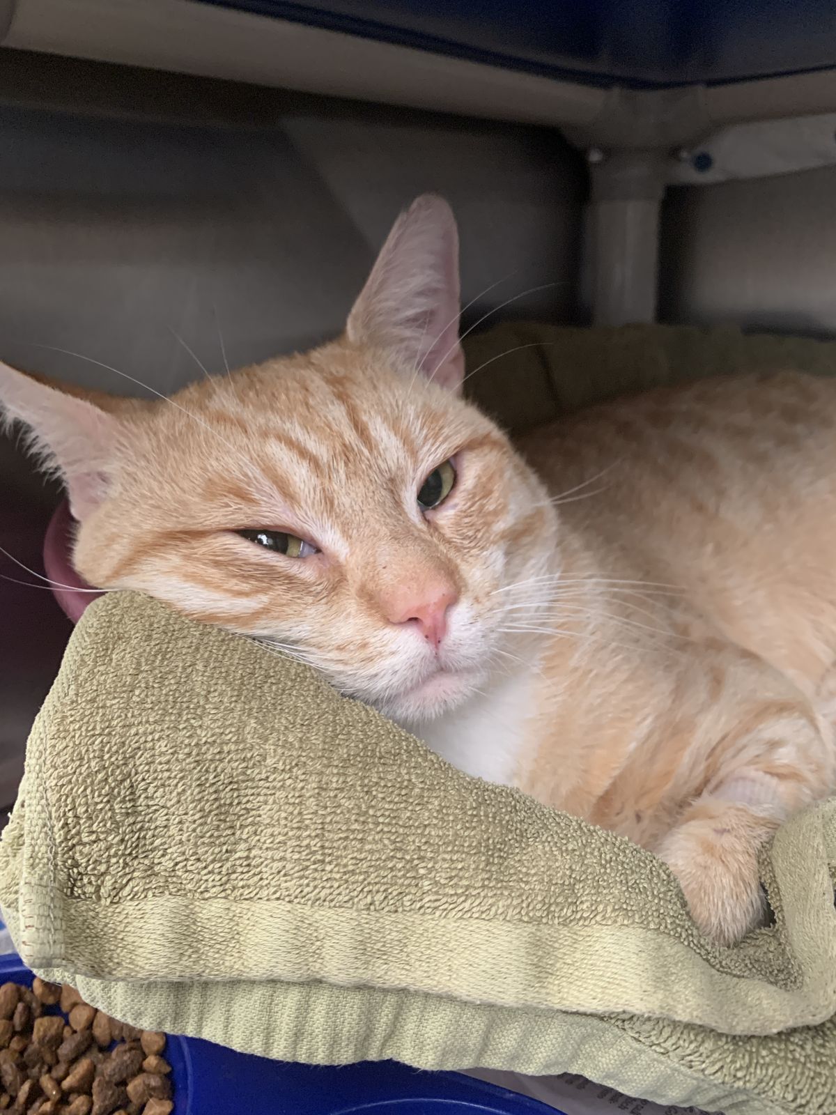 Gallery image: Pablo