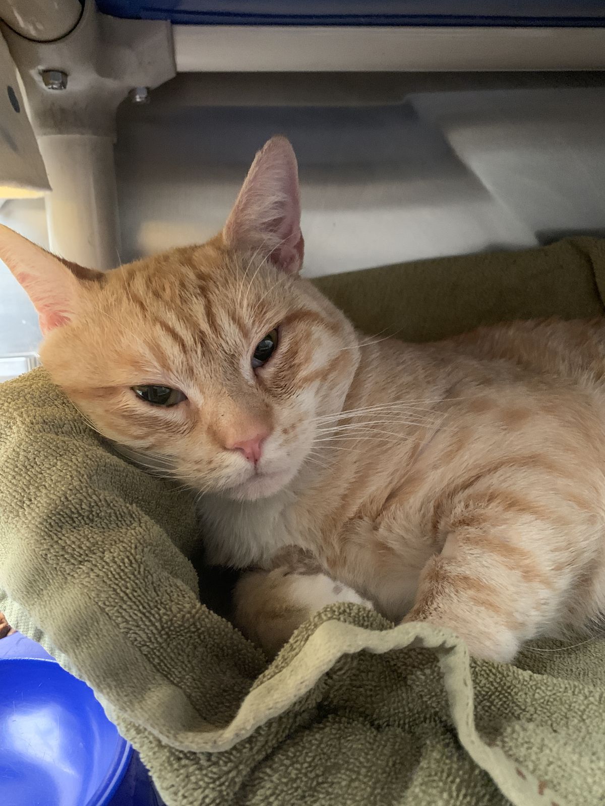 Gallery image: Pablo