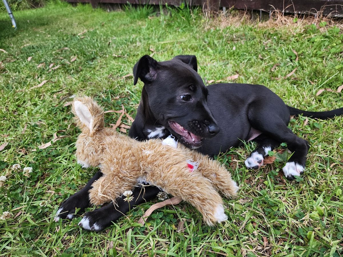 Gallery image: Tilly