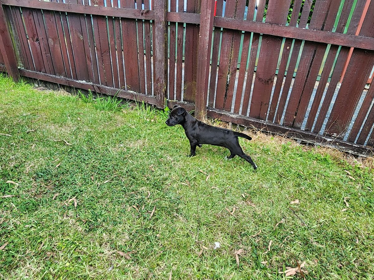 Gallery image: Tilly