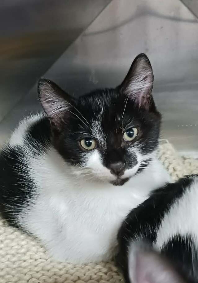 Gallery image: Johnny