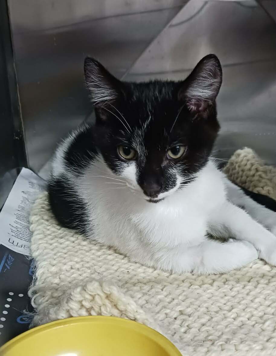 Gallery image: Johnny