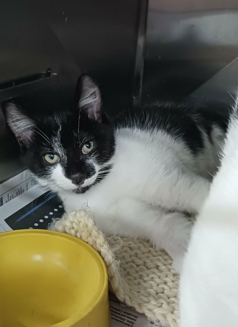 Gallery image: Johnny