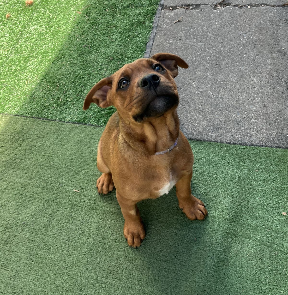 Gallery image: Ariel