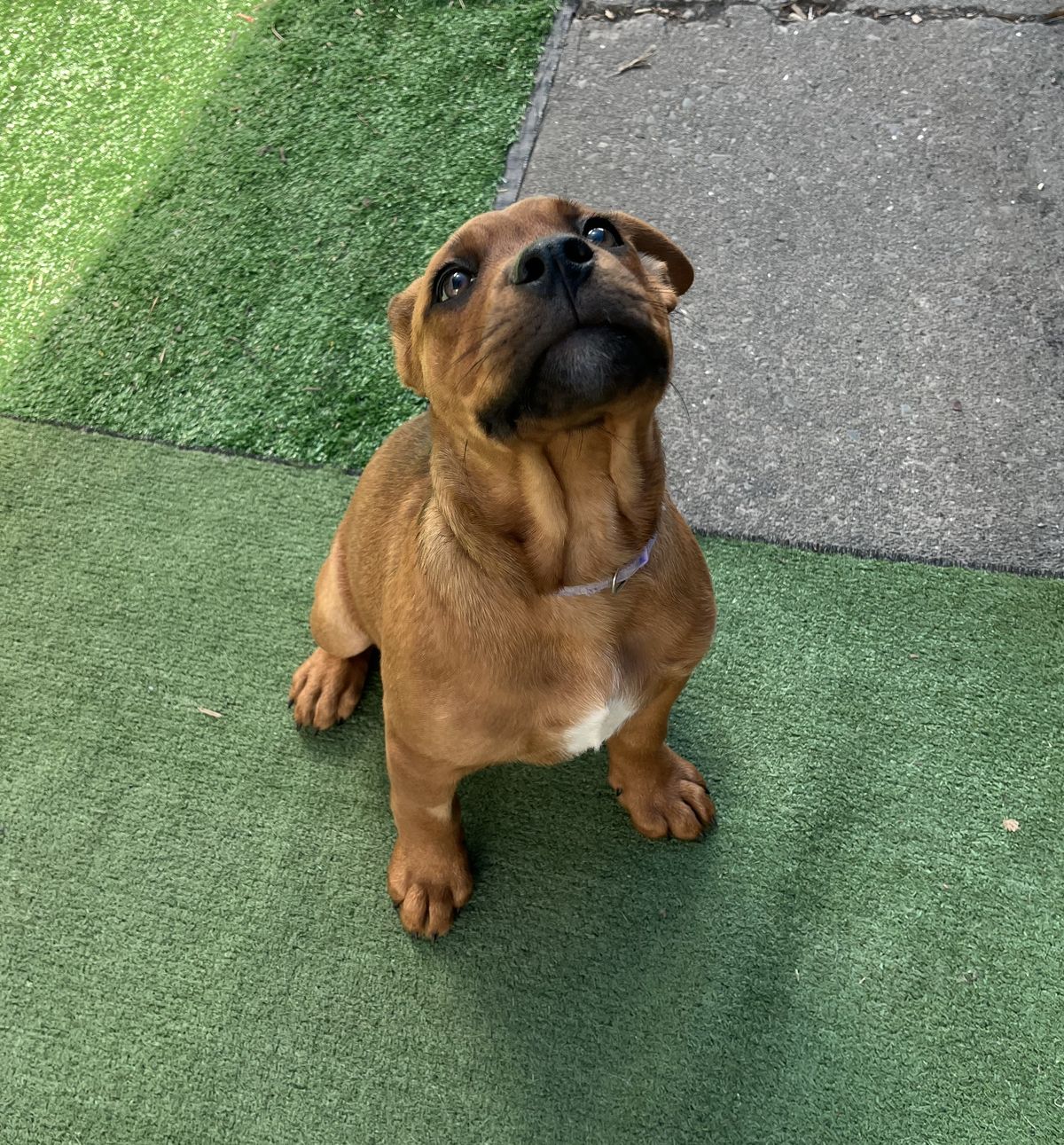 Gallery image: Ariel