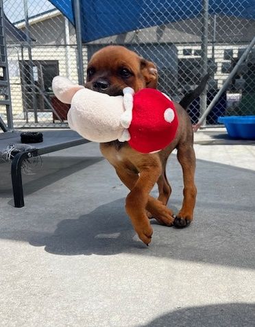 Gallery image: Ariel