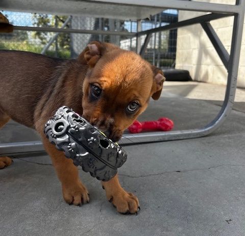 Gallery image: Ariel