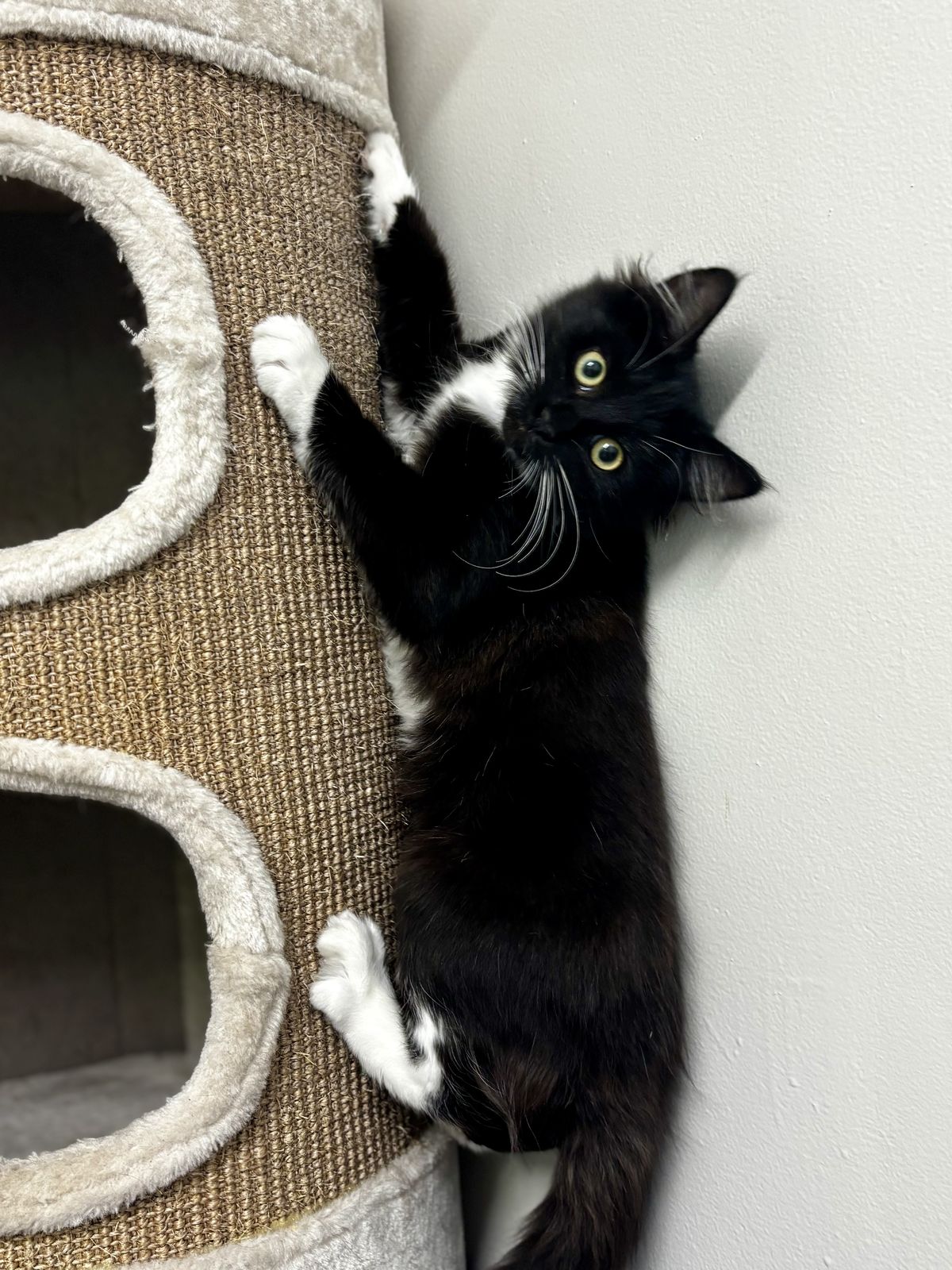 Gallery image: Betty 