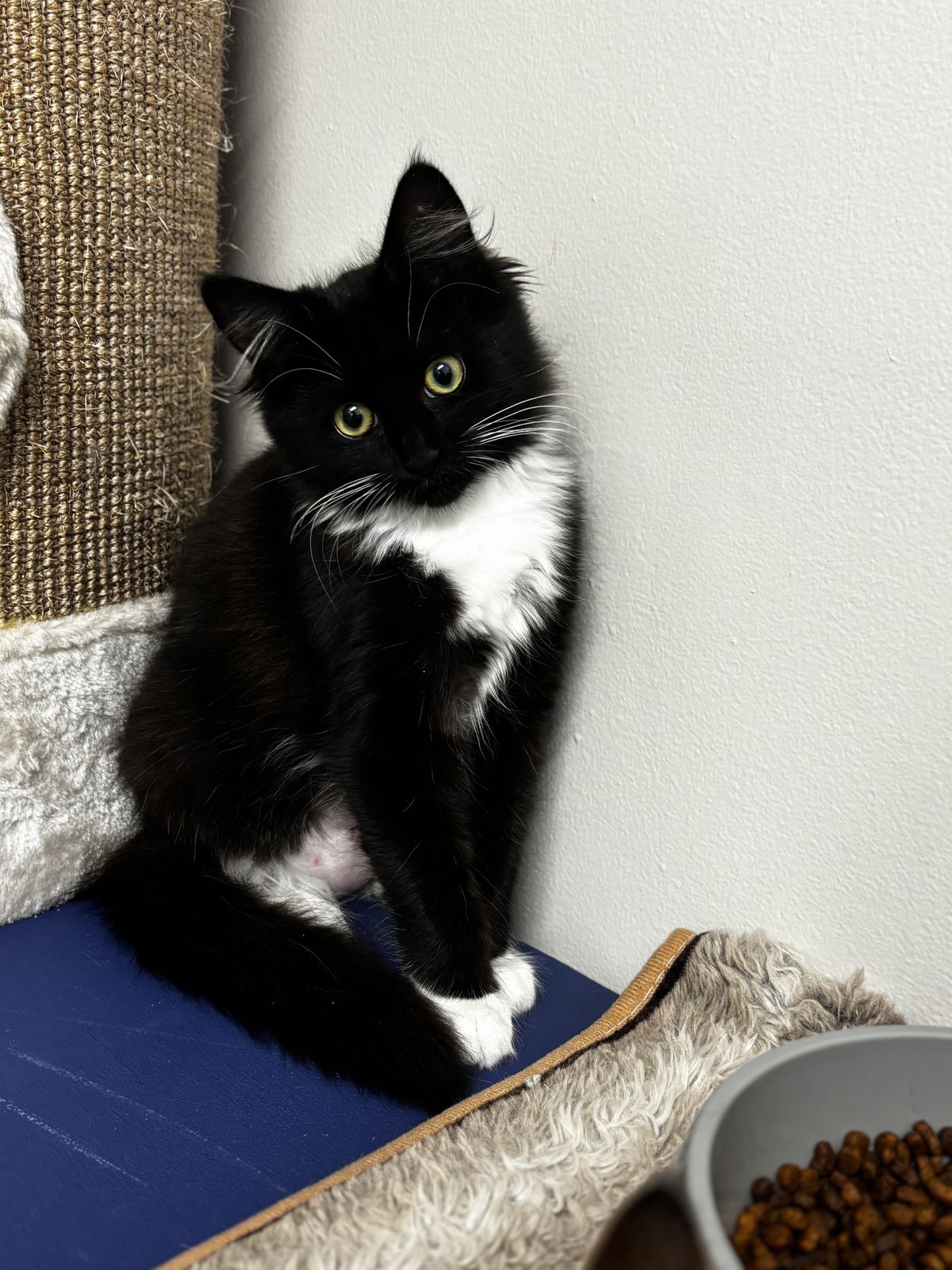 Gallery image: Betty 