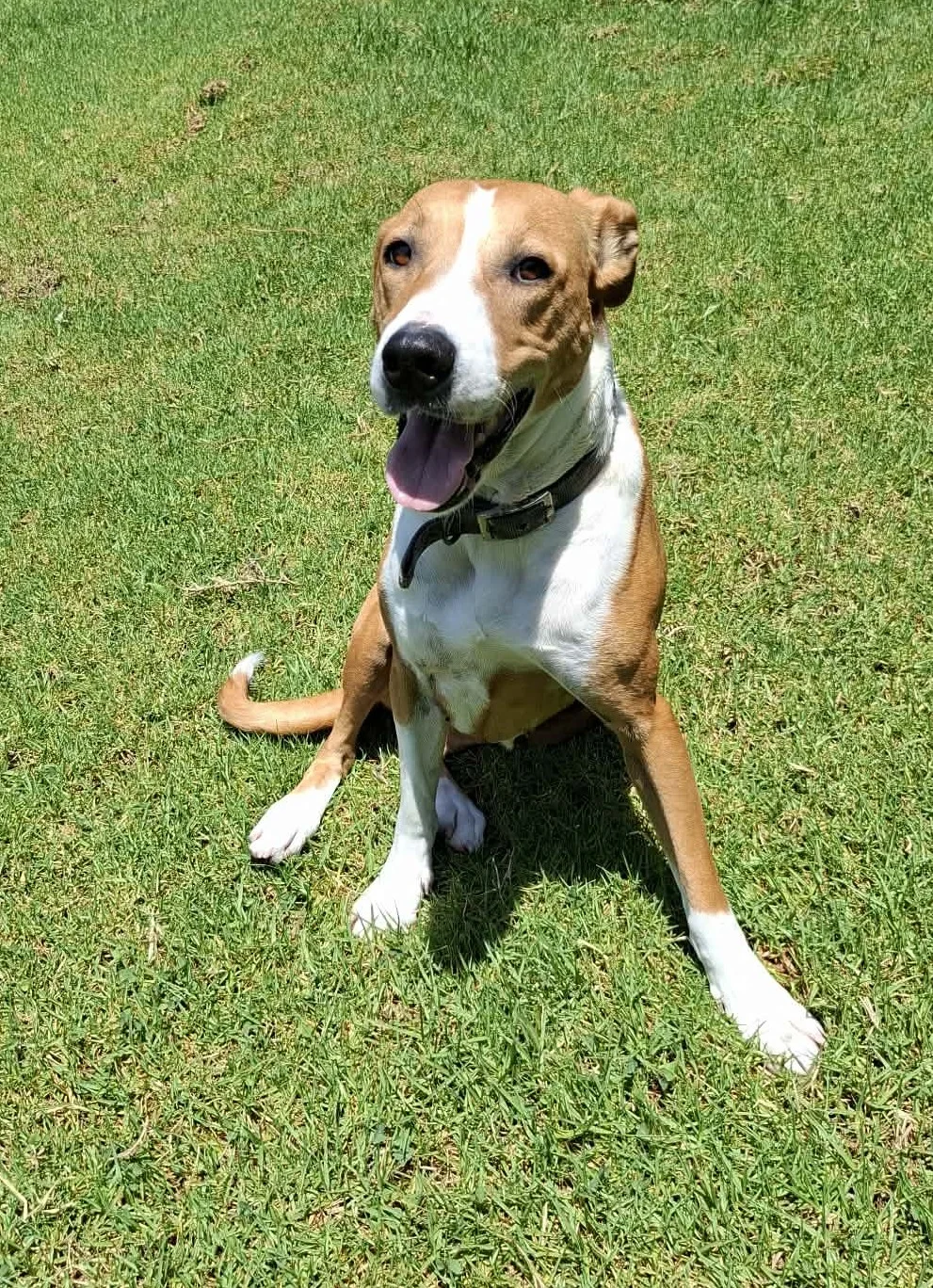 Gallery image: Metro