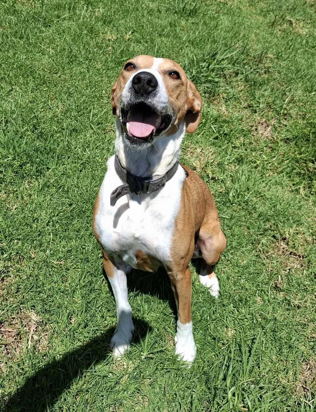 Gallery image: Metro