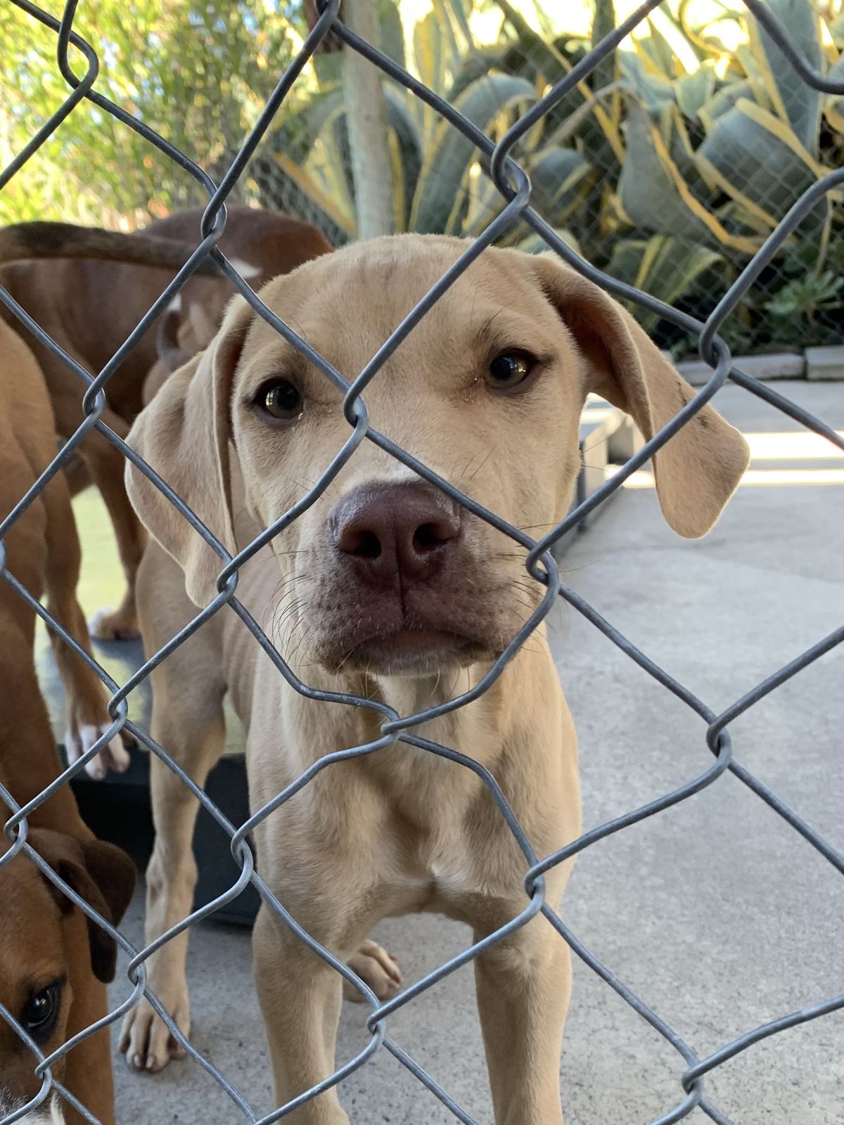 Gallery image: Helix