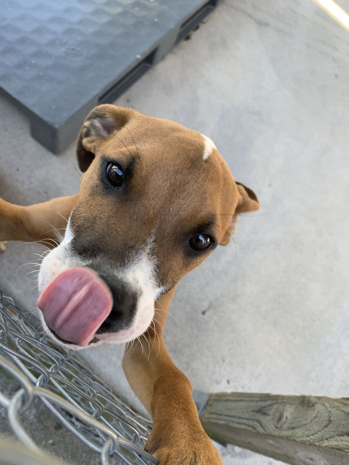 Gallery image: Hubble