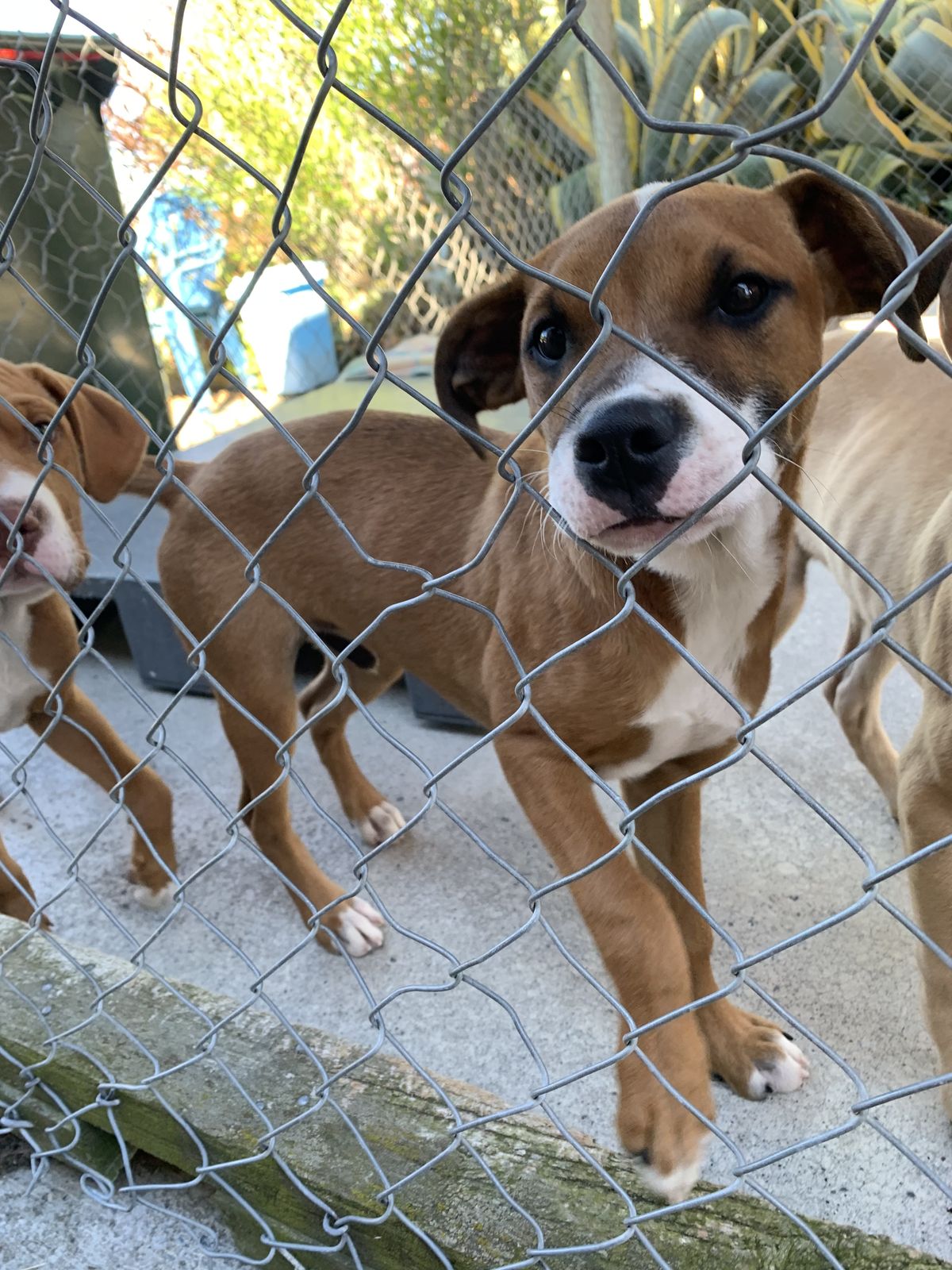 Gallery image: Hubble