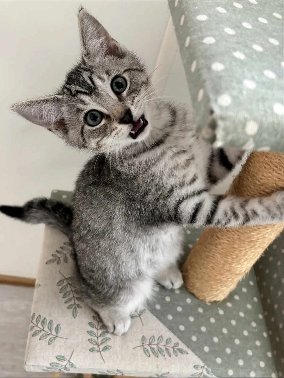 Gallery image: Archer