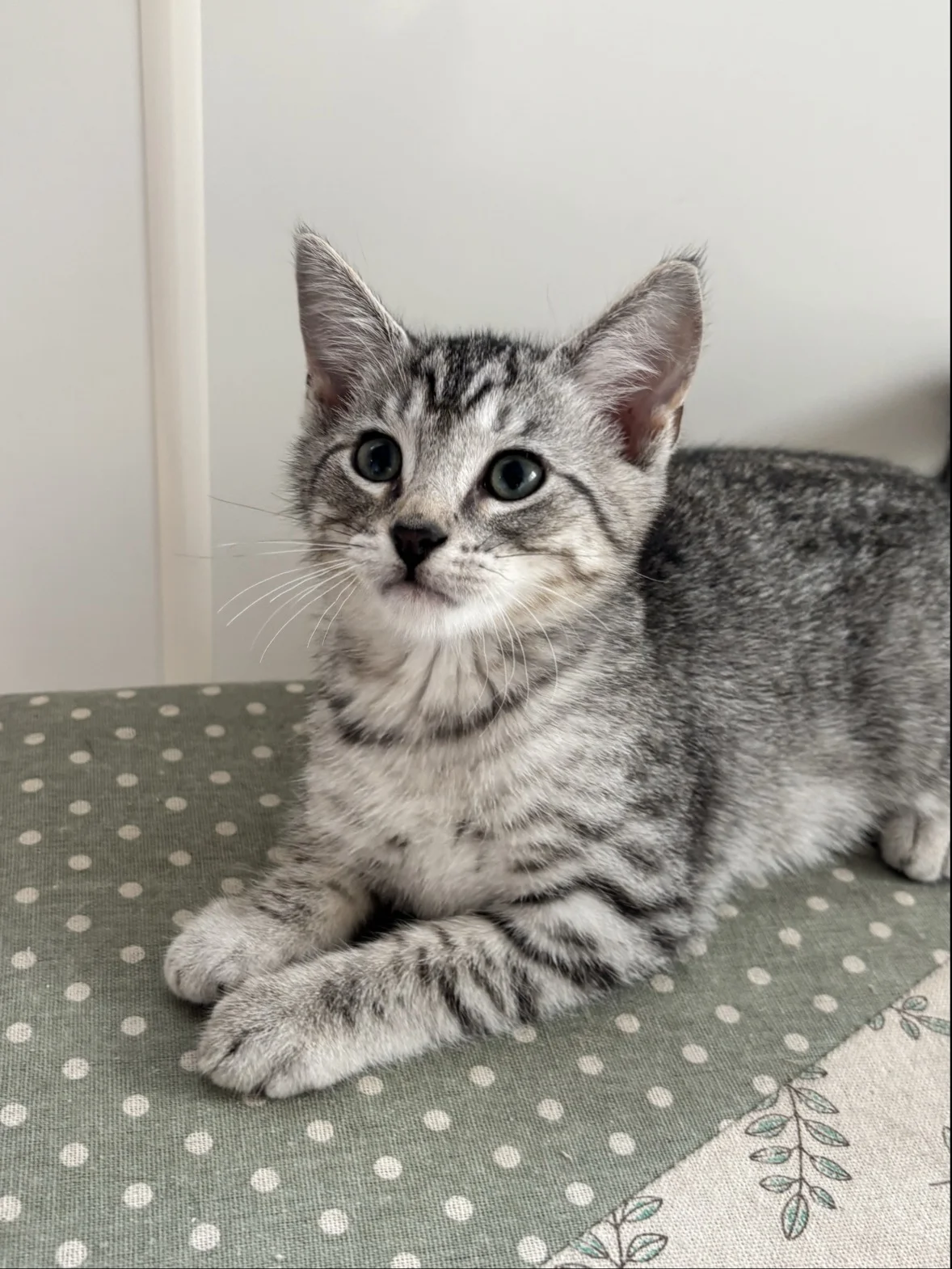 Gallery image: Archer