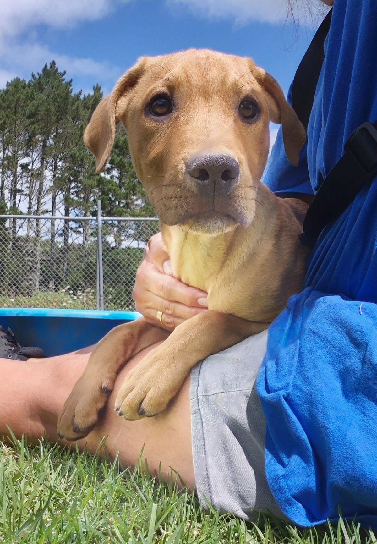 Gallery image: Pringle